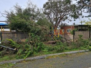 Support following the 2021 storms