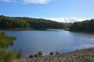 Dam down for safety upgrade