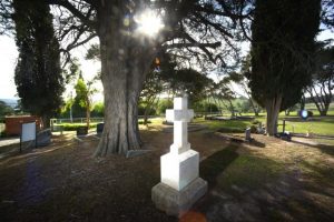Cemetery plot unfolds