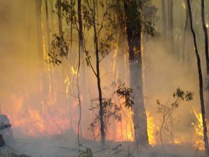 Fire restrictions set to begin in Casey
