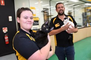 Pet Rescue Month in full swing