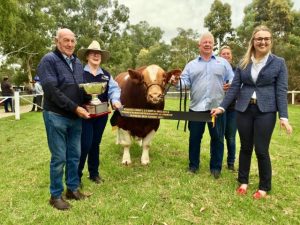 Berwick Show cancelled