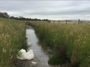Why it’s important to Clean Up Australia