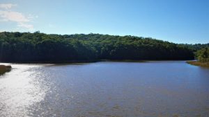 Call for consultation on reservoir