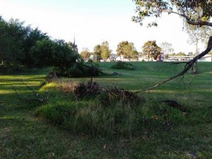 Councillors address maintenance issues
