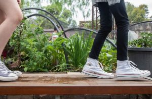 Growing environmental champions