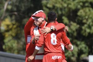 Springy South out for Lions blood