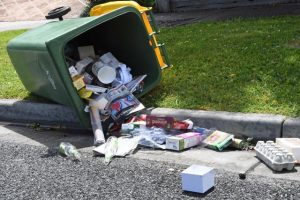 New bin night for select Casey suburbs