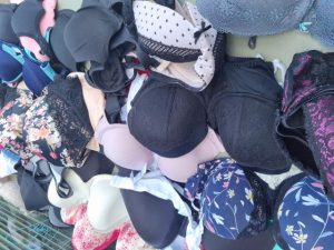 Local charity to host ‘boobie blitz’