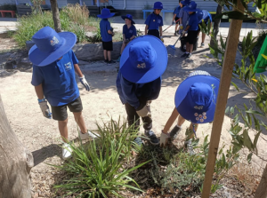 Schools Clean Up Day