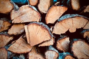Firewood collection season begins