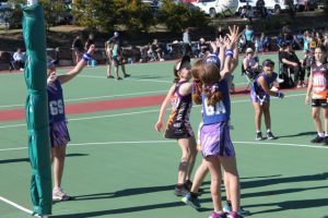 Applications open for sports clubs championing equality