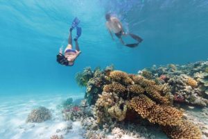 Tourism vouchers return