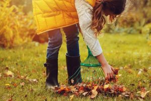 Three…facts about Autumn