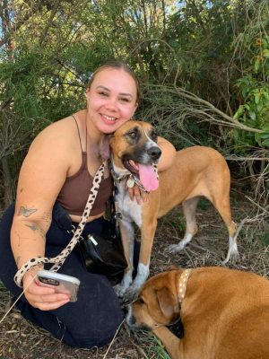 Local thankful for dogs found on highway on-ramp