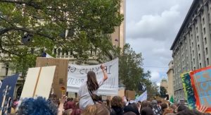 Have your say on 2035 emissions target