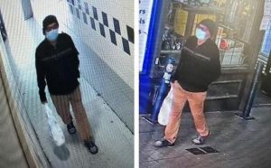 Police investigate Hampton Park sexual assault