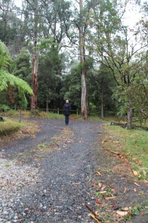 Mitigating contamination in Guys Hill