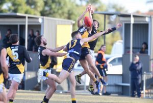Eagles mauled by Tigers