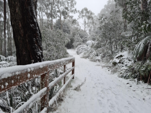 Police issue safety warning for snow visitors