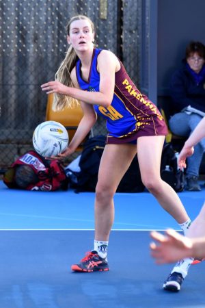 Lions win the jungle clash