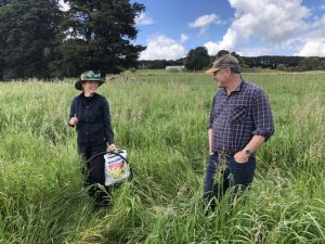 Cultivation calculator for better pastures