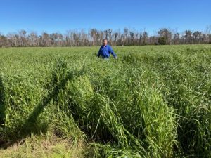 Formula for on-farm success