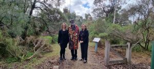 Paddocks ‘footprint’ revealed