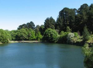 Botanic vision launched