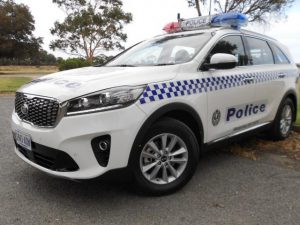 Ten arrested after police pursuit