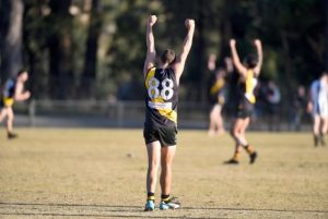 The Tigers get a taste