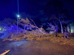 Casey escapes with minor damage from extreme winds