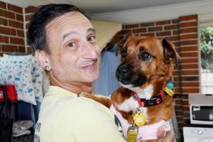 Dogged by Covid