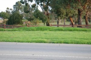 Casey falls behind state benchmarks in satisfaction survey