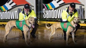 Delightful city double for Don Rhodes