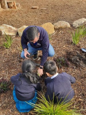 Planting for the future, with the future