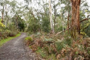 Call for creek cash