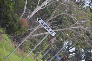 Speed humps a ‘high priority’ for Cranbourne street