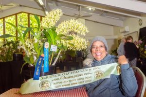 Orchids dazzle in show