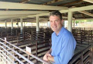 Beef trimmings boon for Australia
