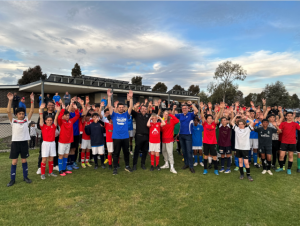 New pitch pledge for Berwick City FC