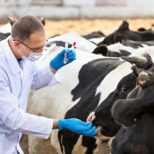 Developing a biosecurity plan for your farm