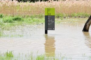 Clean-up begins in Casey