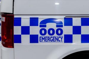 Operation Bird targets thieves
