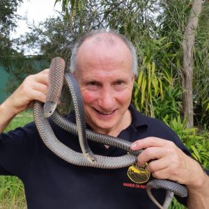 Snakes caught at school