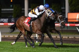 Sweet dreams for Stokes in Melbourne Cup