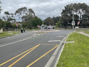 Police investigate fatal hit-run in Hampton Park