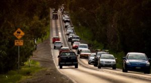 Reports wildlife on road before fatal accident