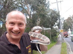 Snake season well underway
