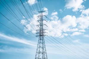 Don’t sacrifice food security for energy security: NFF